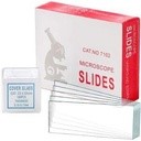 Lame microscope bte/50