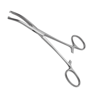 Pince Kocher Courbe  Avec Griffe Grand